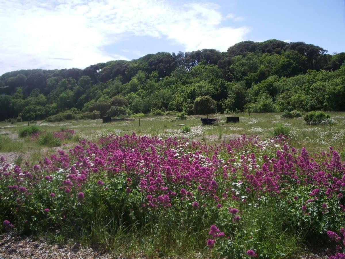 Mariner'S Cottage - On Kingsdown Beach Deal Luaran gambar